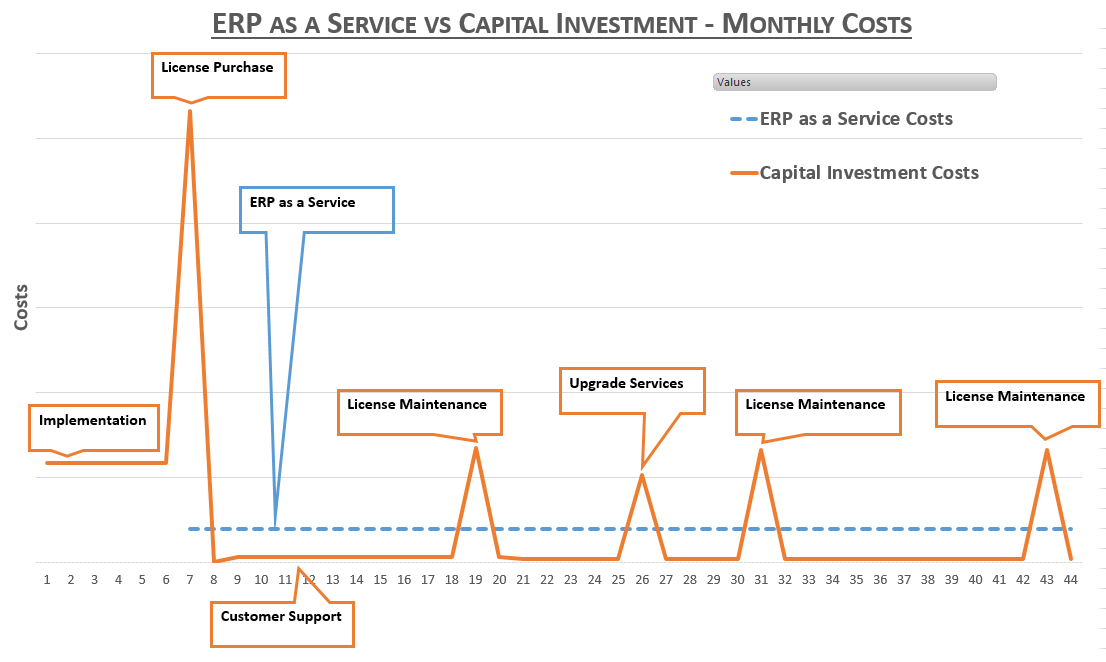 erp as service vs capital invest